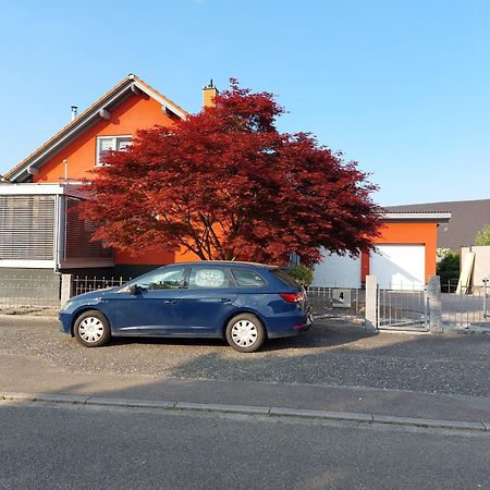 Sonnige Ferienwohnung Bei Familie Koehler Kappel-Grafenhausen Kültér fotó